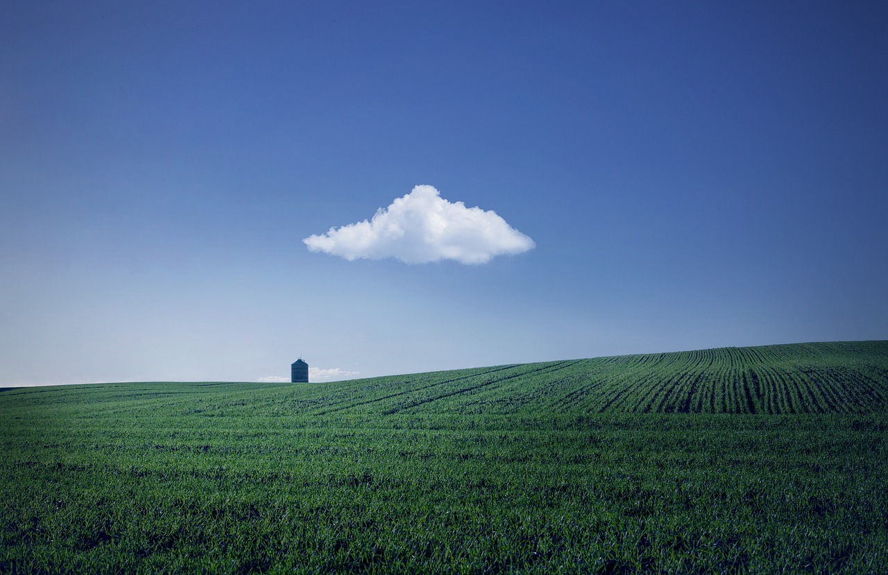 El cielo en el paisaje: cuánto incluir