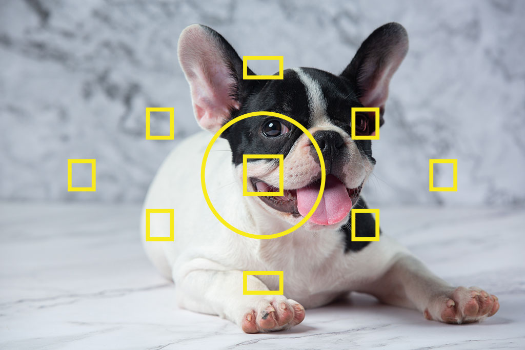 Detalle de pantalla de cámara mostrando el modo AF-A con detección de ojos activada