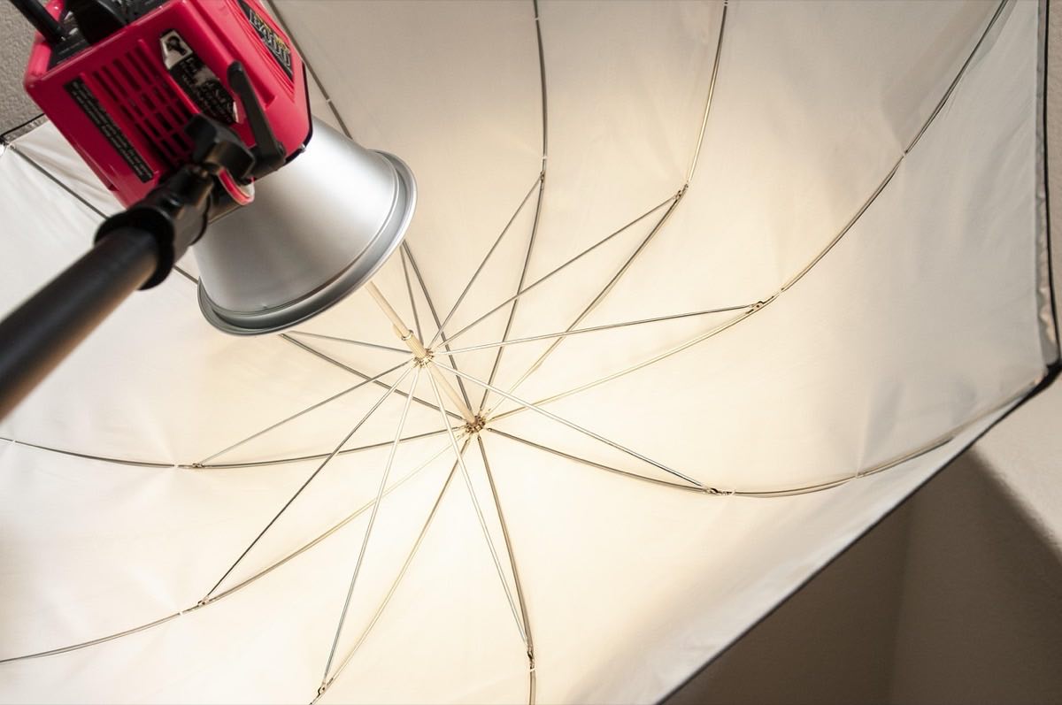 alien bee, strobe light, photography, umbrella
