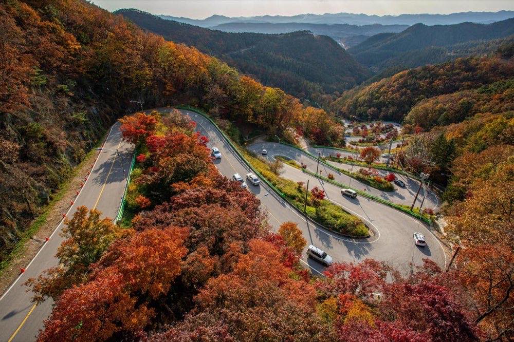 road, highway, vehicles, nature