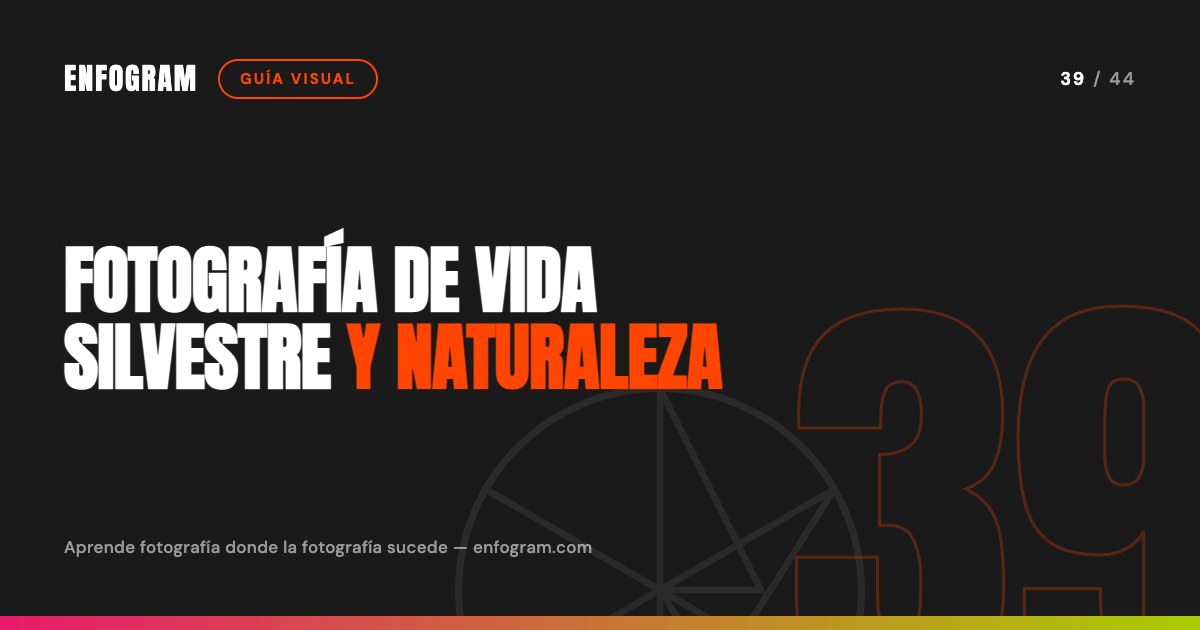 Fotografía de vida silvestre y naturaleza