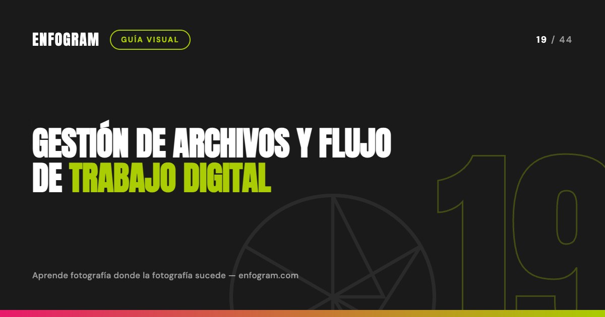 Gestión de archivos y flujo de trabajo digital